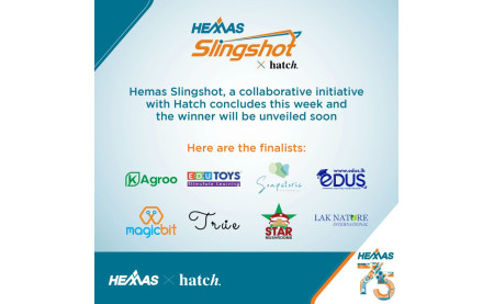 Hemas - Slingshot Programme