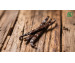 How to Choose the Best Vanilla Bean for ...